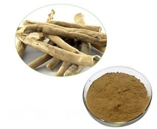 Ashwagandha Extract | CAS 90147-43-6 | Adaptogen Raw Materials Supplier