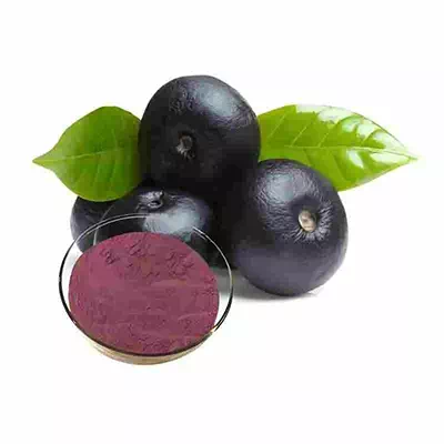 Açai Berry Extract | Super Antioxidant Raw Material | CAS 879496-95-4 Supplier